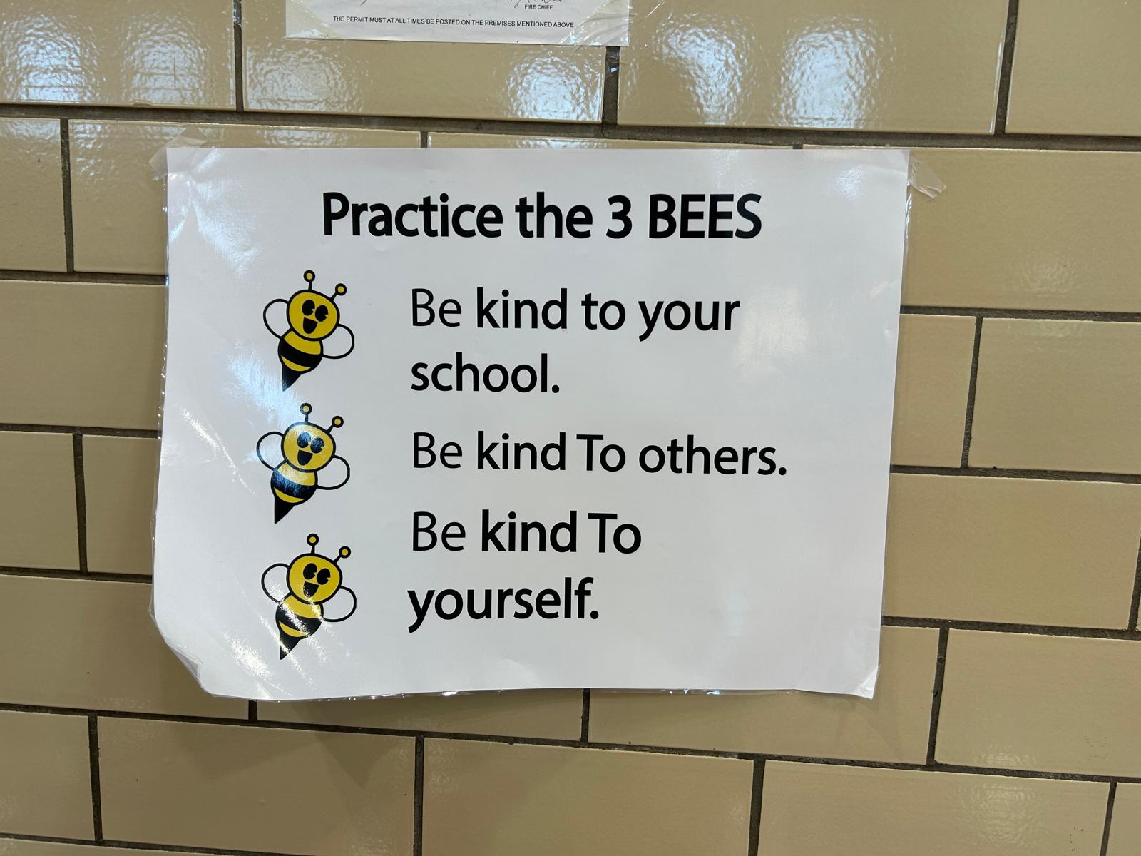 Rising_stars_3Bees (4)